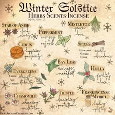 Winter Solstice Herbs, Witch Celebrations, Yule Herbs, Yule Wreaths, Secular Witchcraft, Witchy Holidays, Yule Recipes, Wiccan Yule, December Magic