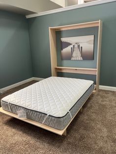 a bed with a built in bookcase on top of carpeted floor next to blue walls