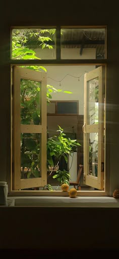 an open window with plants in the background