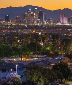 the city skyline is lit up at night, with palm trees and mountains in the background