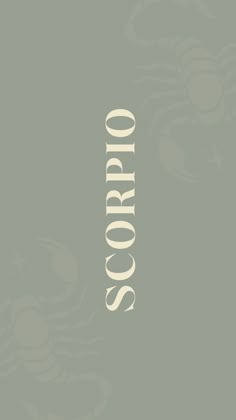 an image of the word scorpion in white on a gray background with waves and circles