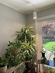 a living room filled with lots of potted plants next to a sliding glass door