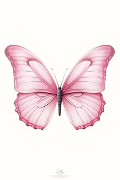 a pink butterfly on a white background