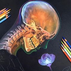 a drawing of a human skull with colored pencils next to it