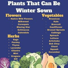 a poster with the words plants that can be winter sown, flowers and vegetables