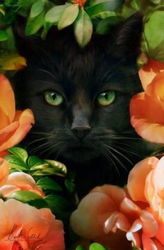 a black cat with green eyes surrounded by flowers