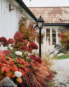 a house with red and white flowers in the front yard next to a gravel path