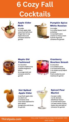 the 6 cocktails you need to drink this fall and halloween season - info poster