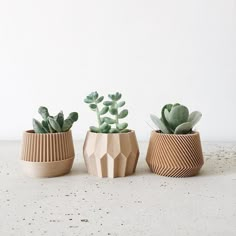 three ceramic planters with succulents in them sitting on a table top