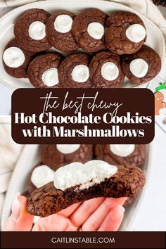 the best chocolate cookies with marshmallows on a white platter and text overlay that reads, the best chewy hot chocolate cookies with marshmallows