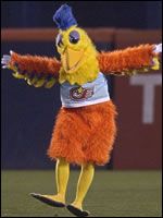 the mascot is dressed in orange and blue