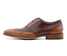 Dress Shoes For Men, Wingtip Shoes, Brown Dress Shoes, Driving Moccasins, Brown Dress, Men Looks, Shoes For Men, Modern Man, Unique Colors