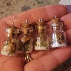 small glass bottles filled with tiny plants and sand in their palm, held by a person's hand