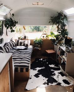 a living area with couches and plants in it