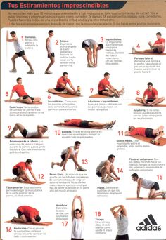 a poster with instructions on how to do an exercise for the legs and chests