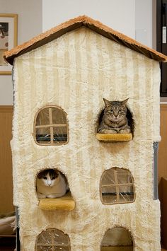 two cats are sitting in the windows of a cat house that is made out of cardboard