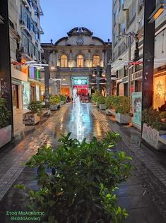 an empty city street with potted plants and buildings in the background at night time