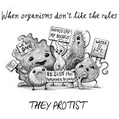 an image of some cartoon animals holding protest signs and saying, when organics don't like the rules they protistt