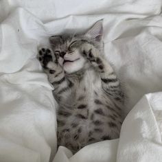 a small kitten laying on top of a white bed covered in blankets and pillows with its paws up