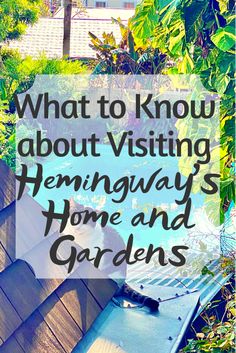 a house with the words what to know about visiting vietnam's home and gardens