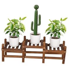 three potted plants on a wooden stand