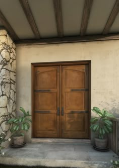 two potted plants are sitting on the porch next to a large wooden door that is flanked by stone pillars