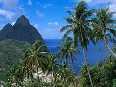 palm trees line the shore of a tropical island with mountains in the background and blue water