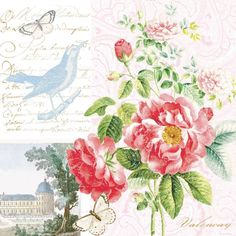 two pictures with flowers and birds on them, one is pink the other is blue