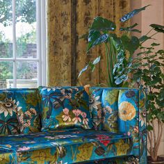 a blue couch sitting in front of a window next to a potted plant