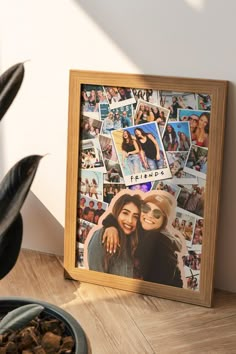 a wooden frame with many pictures on it next to a potted plant in front of a white wall