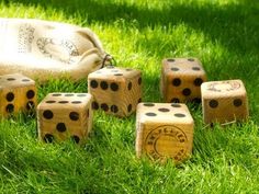 several wooden dices sitting in the grass