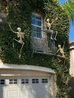 skeleton figurines on the side of a house with vines growing over it's windows