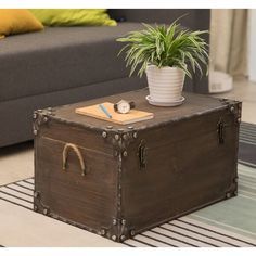 a trunk coffee table with a potted plant on top