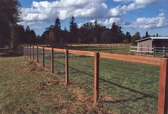 a fenced in area with grass and trees on the other side, along with a barn