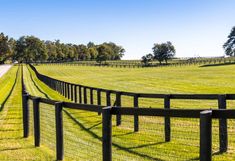 a fenced in area with grass and trees on the other side that is empty