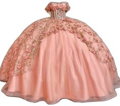 Princess Style Quinceanera Dress, Princess Quinceanera Dress For Prom Season, Princess Ball Gown For Quinceanera, Princess Tulle Quinceanera Dress For Sweet 16, Floor-length Quinceanera Dress For Sweet 16 During Prom Season, Princess Dress With Fitted Bodice For Quinceanera Prom Season, Pink Princess Dress For Quinceanera, Pink Quinceanera Dress For Prom, Princess Style Quinceanera Dress For Sweet 16