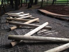 several logs laying on the ground near some trees