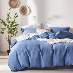 a bed with blue comforters and pillows in a room next to a potted plant