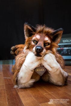 a stuffed fox sitting on top of a wooden floor