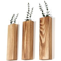 three wooden vases with plants in them