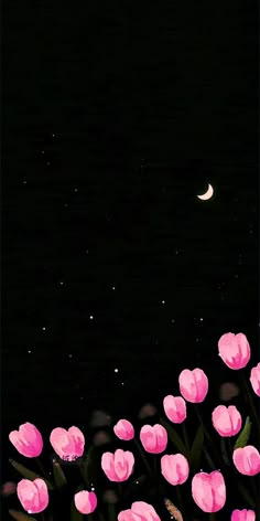 pink tulips are blooming in the night sky