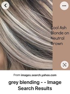 Platinový Blond, Grey Transition, Cool Ash Blonde, Long Shag, Chunky Highlights, Ashy Blonde, Ash Blonde Highlights, Blond Balayage