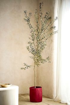 a potted plant sitting on top of a wooden table next to a white stool