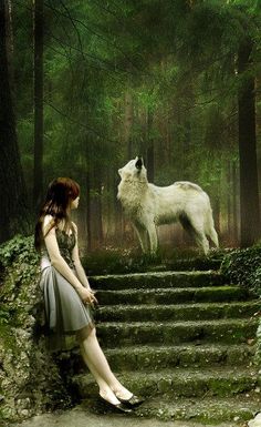 a woman sitting on steps in front of a white wolf