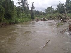 the river is very muddy and brown in color