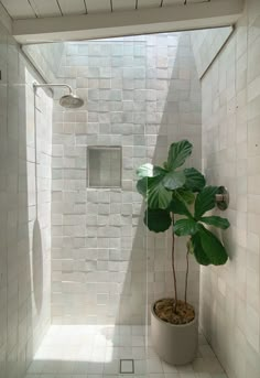 a potted plant sitting in the corner of a white tiled shower stall next to a mirror