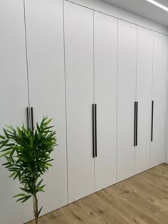 an empty room with white cabinets and a green plant