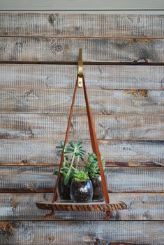 hanging wood slice plant stand with two succulents and a sign that says hanging wood slice plant stand