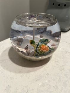 a small glass bowl filled with water and sea shells on top of a white counter