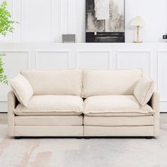 a white couch sitting next to a plant in a living room